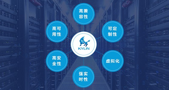 银河麒麟服务器操作系统(定制版) 银河麒麟服务器操作系统(定制版)